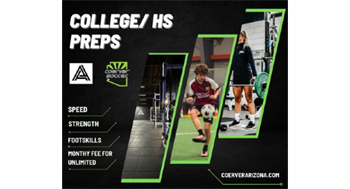 Elite Training - Gym+Ball Mastery